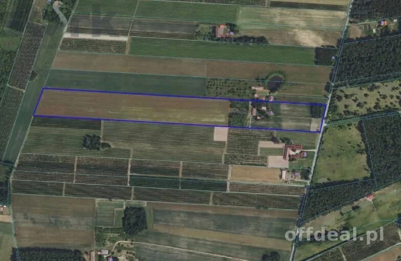 plot for sale in Biała Wieś | 65,000 m²