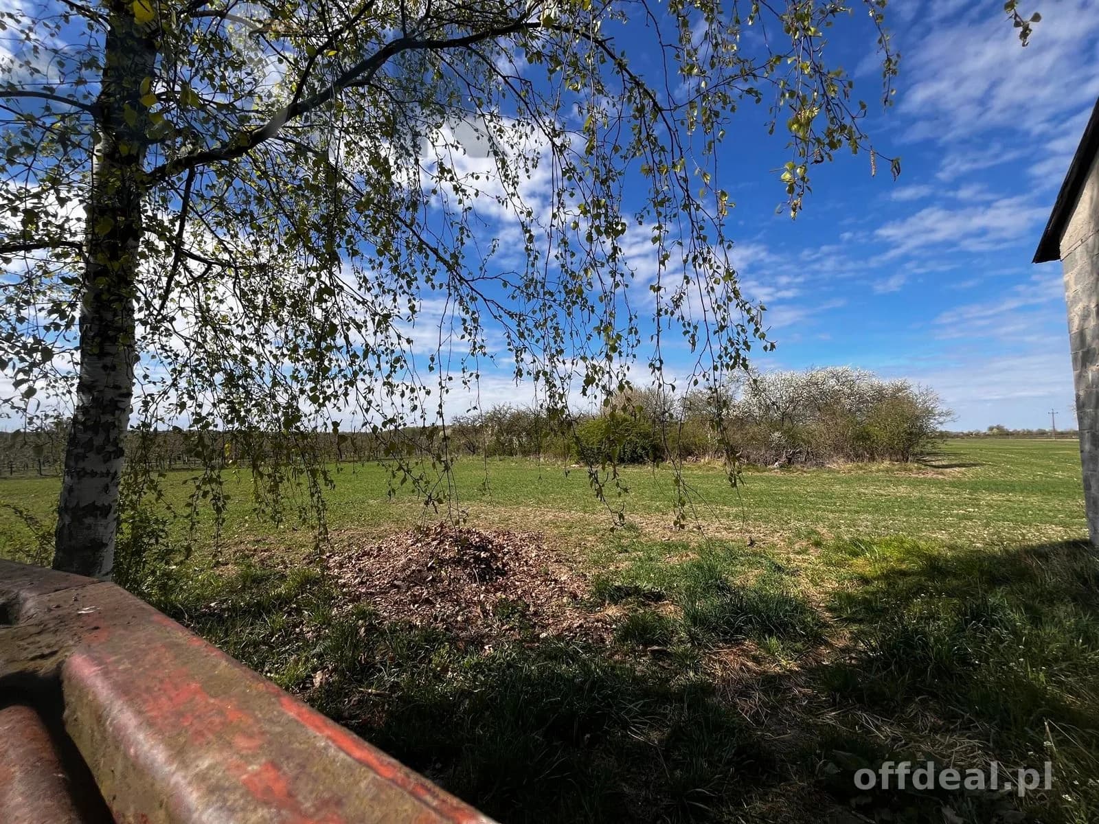 plot for sale in Biała Wieś | 65,000 m²