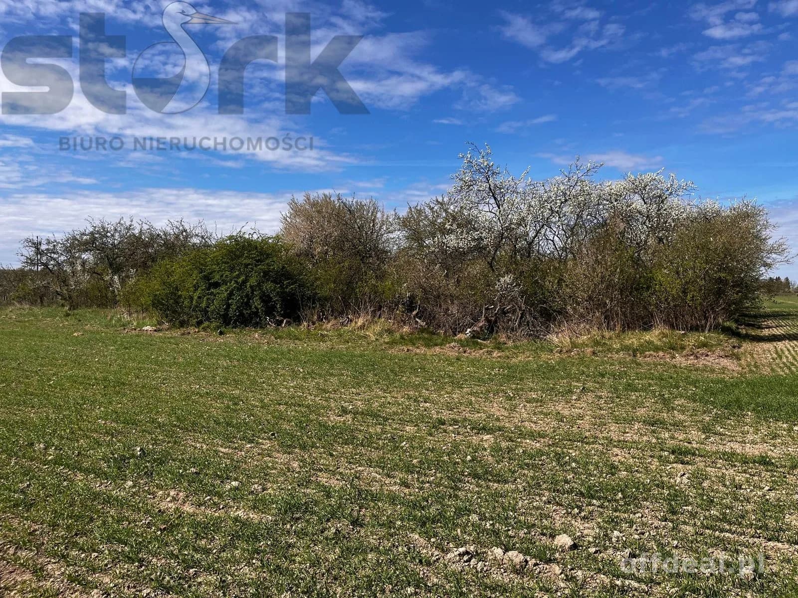 plot for sale in Biała Wieś | 65,000 m²