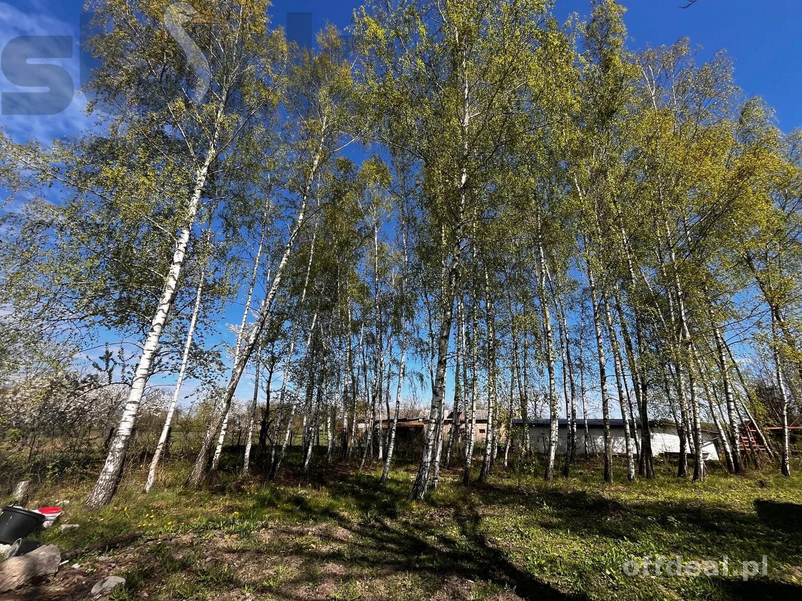 plot for sale in Biała Wieś | 65,000 m²