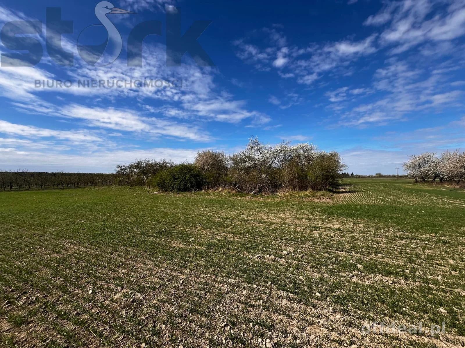 plot for sale in Biała Wieś | 65,000 m²