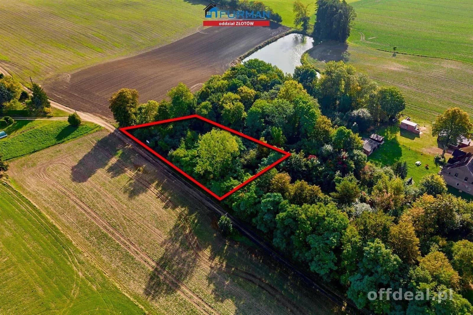 Photo 5: Plot, 1792 m², Dzierzążenko