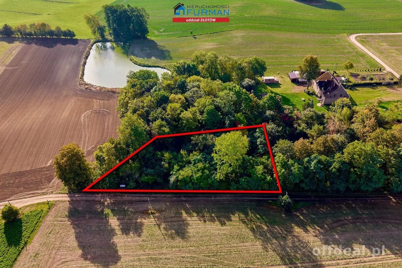 Photo 15: Plot, 1792 m², Dzierzążenko