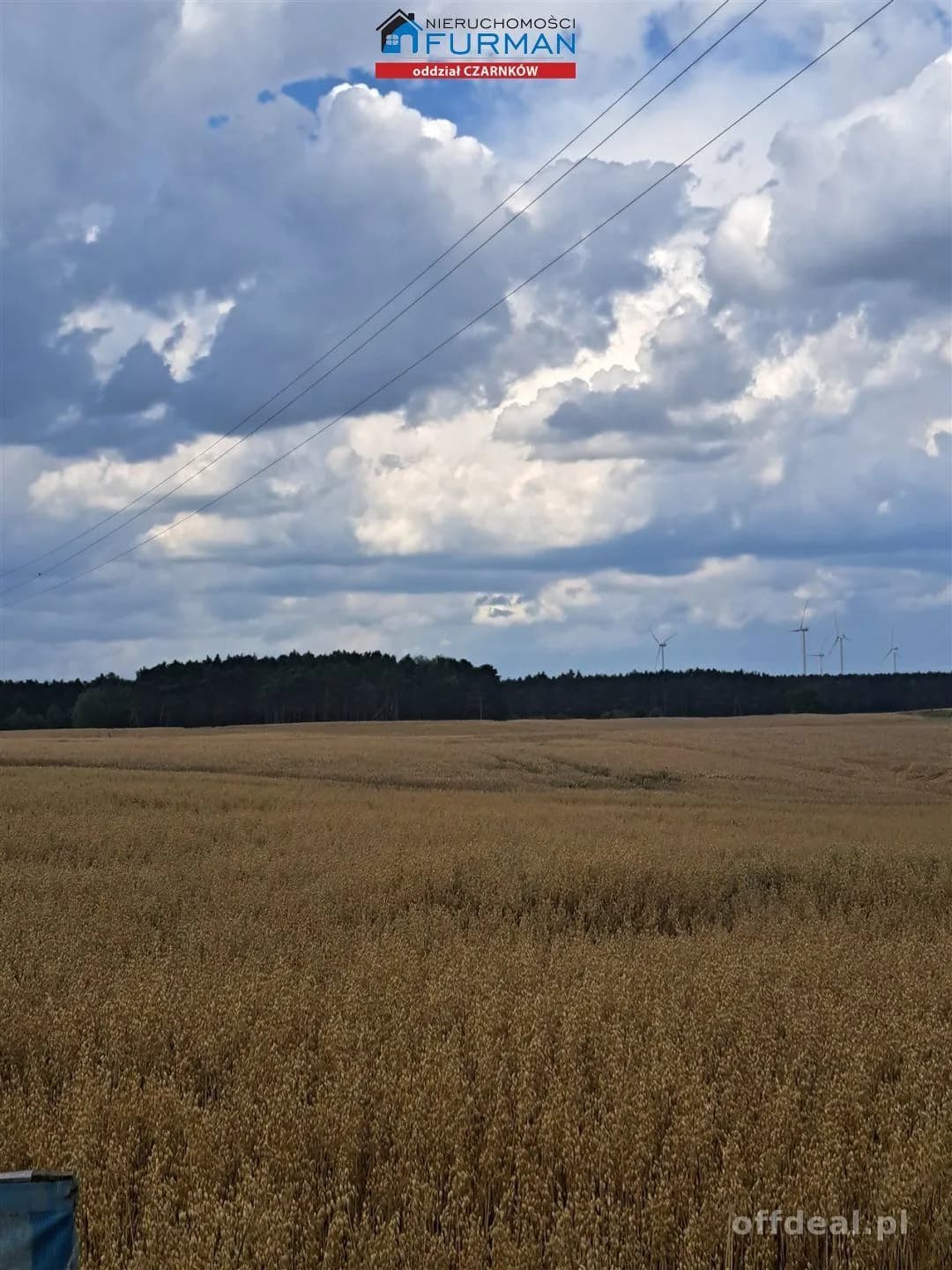 terrain à vendre à Sarbia | 1 900 m²