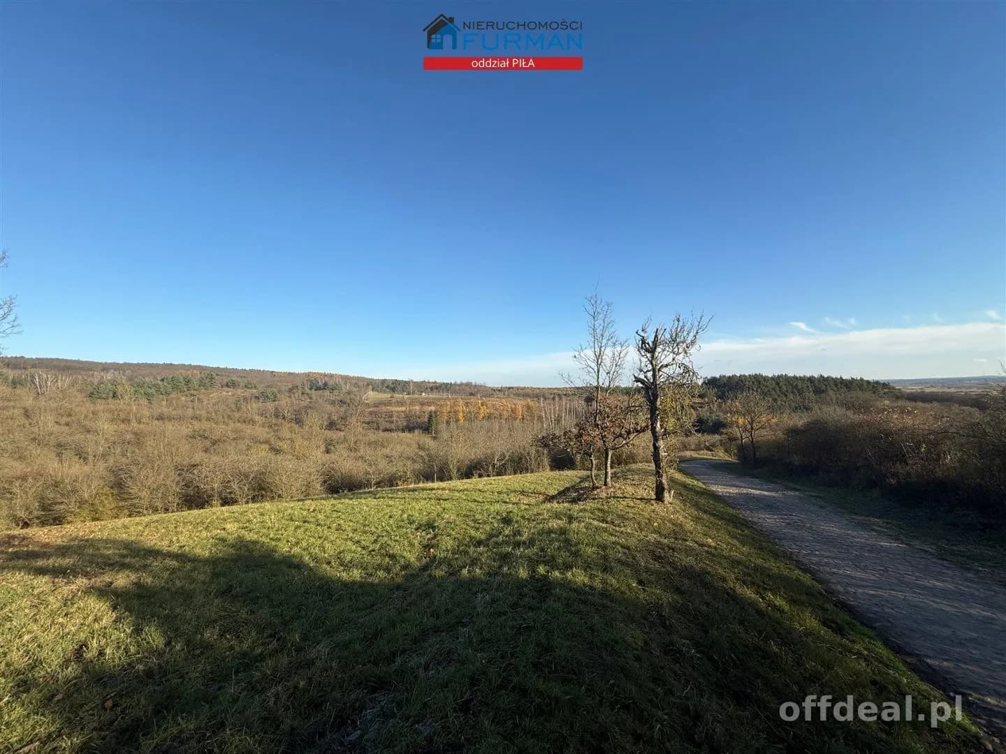 terrain à vendre à Wolsko Górne | 7 539 m²