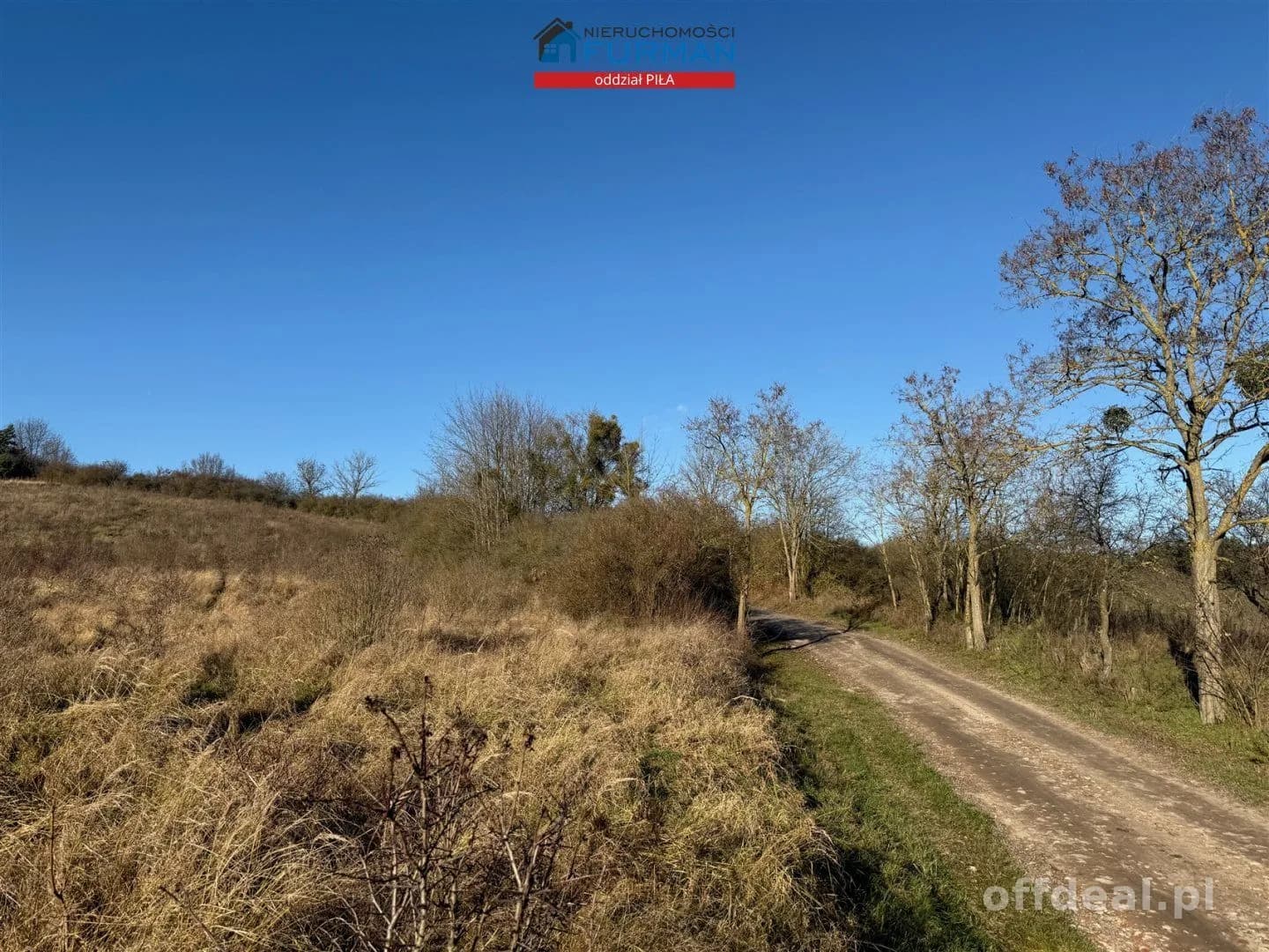 terrain à vendre à Wolsko Górne | 7 539 m²