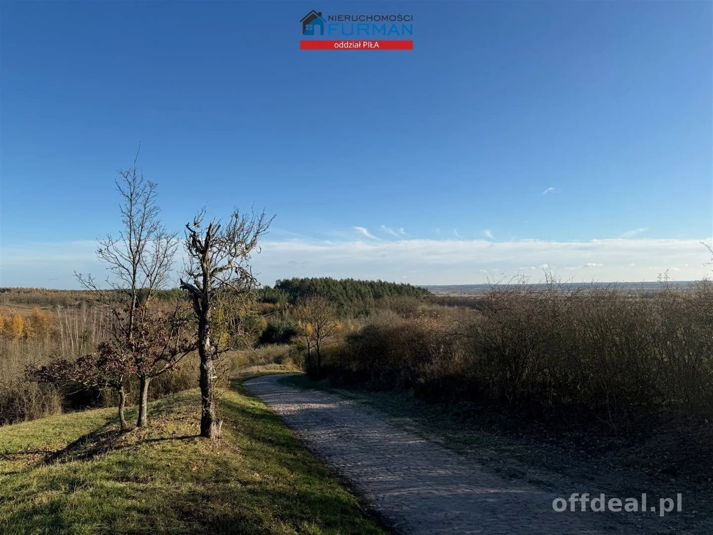 terrain à vendre à Wolsko Górne | 7 539 m²