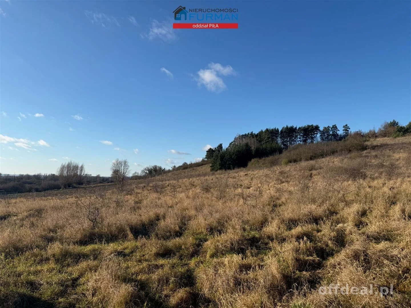 terrain à vendre à Wolsko Górne | 7 539 m²