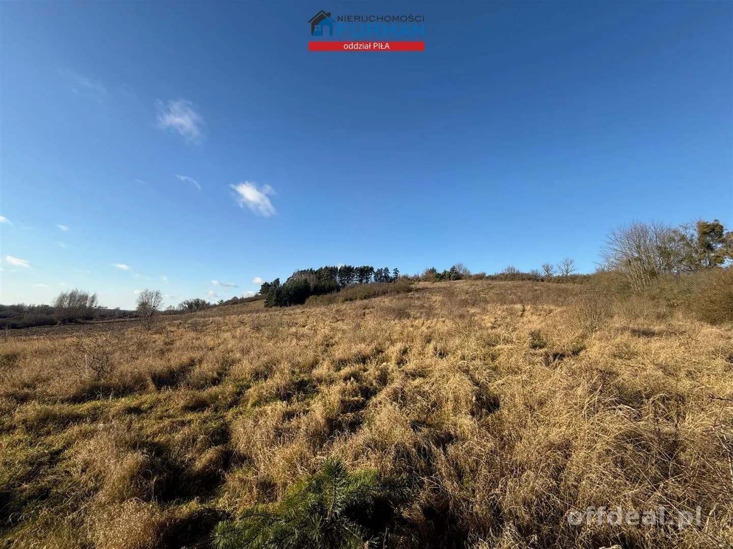 terrain à vendre à Wolsko Górne | 7 539 m²