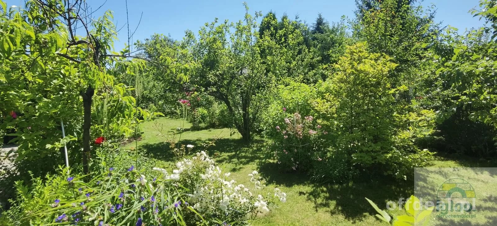 Działka rod Społem, murowany domek, prąd i woda
