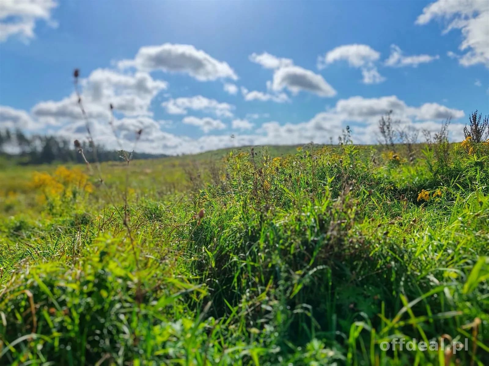 terrain à vendre à Ełk, Straduny | 150 092 m²