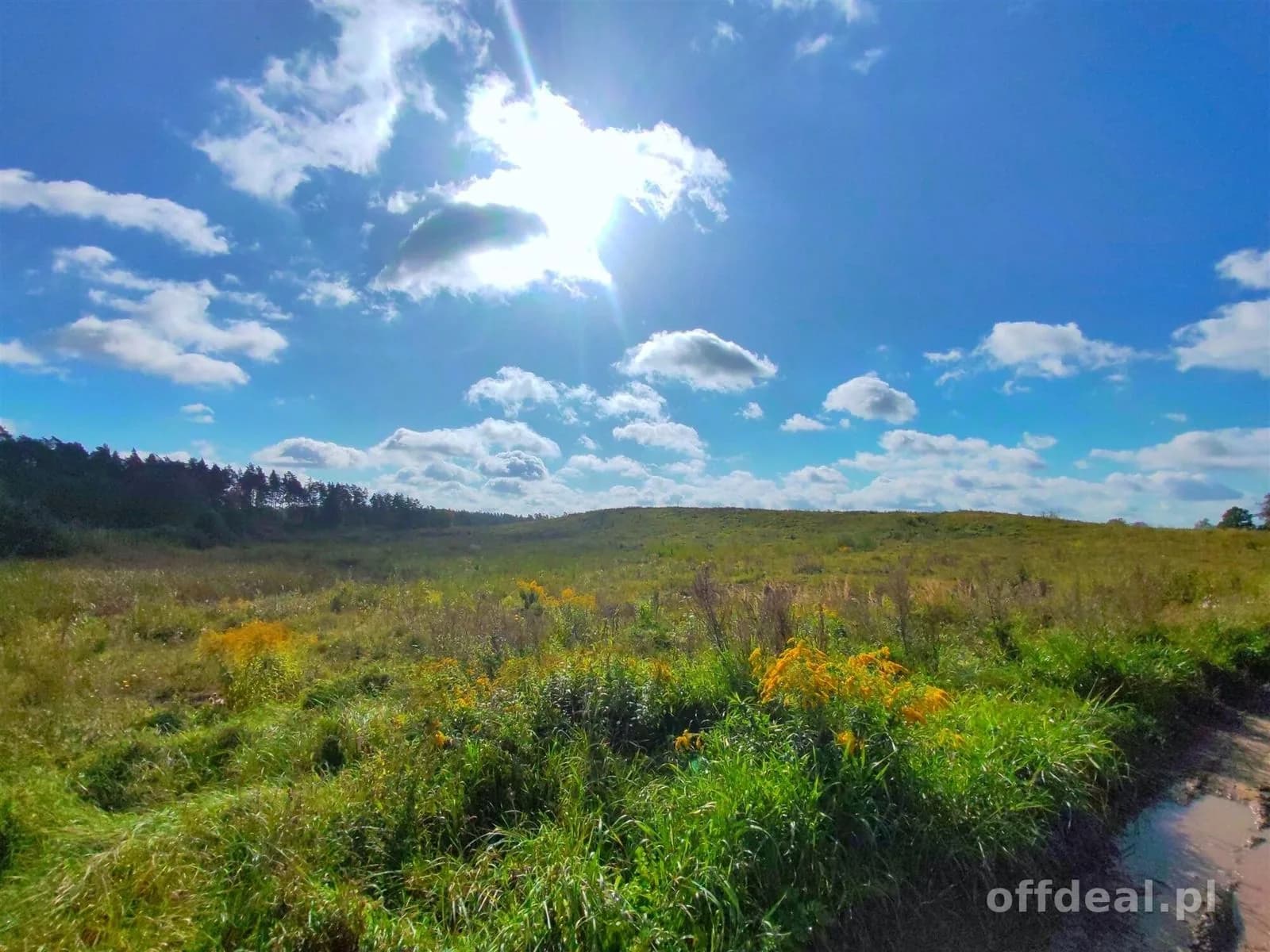 terrain à vendre à Ełk, Straduny | 150 092 m²
