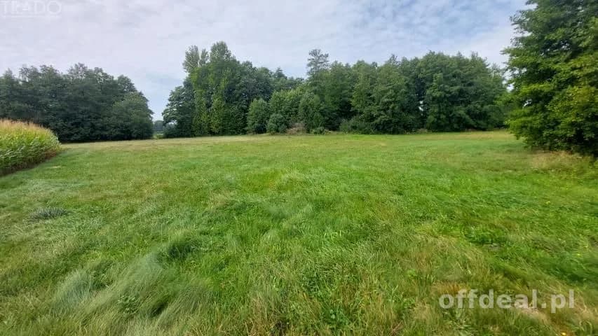 Gospodarstwo 6ha, Babiak, Krukowo