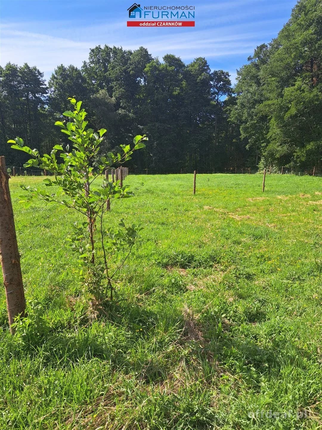 działka z MPZP na sprzedaż w Klempiczu