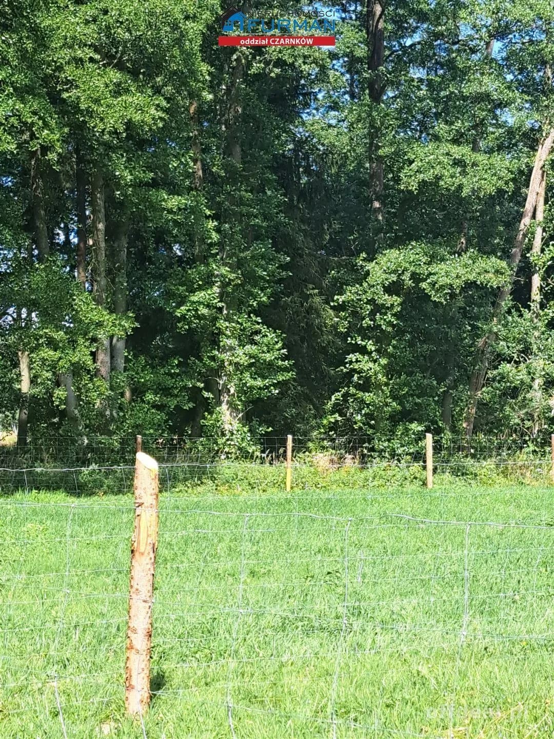 działka z MPZP na sprzedaż w Klempiczu