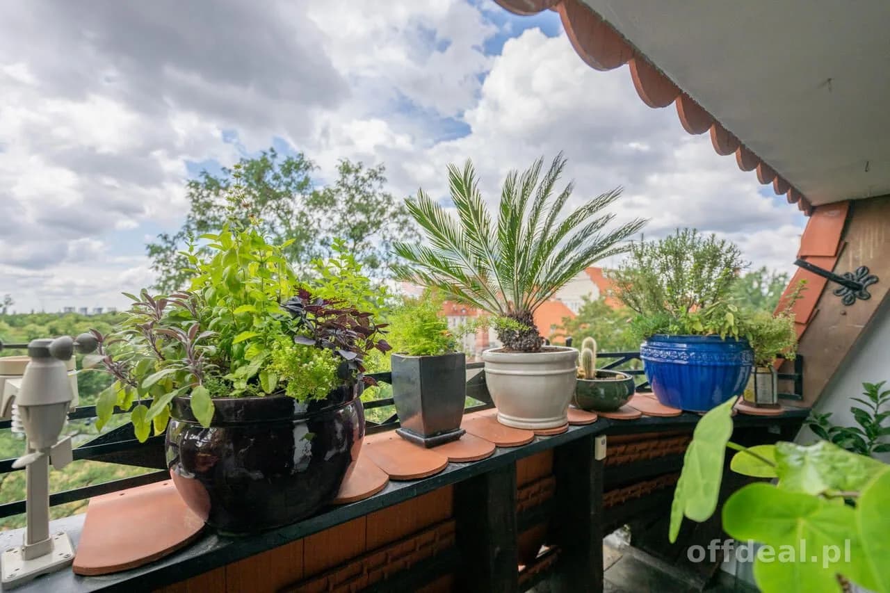 6-Zimmer Wohnung zum Verkauf in Wrocław, Śródmieście, Plac Grunwaldzki | 180 m²