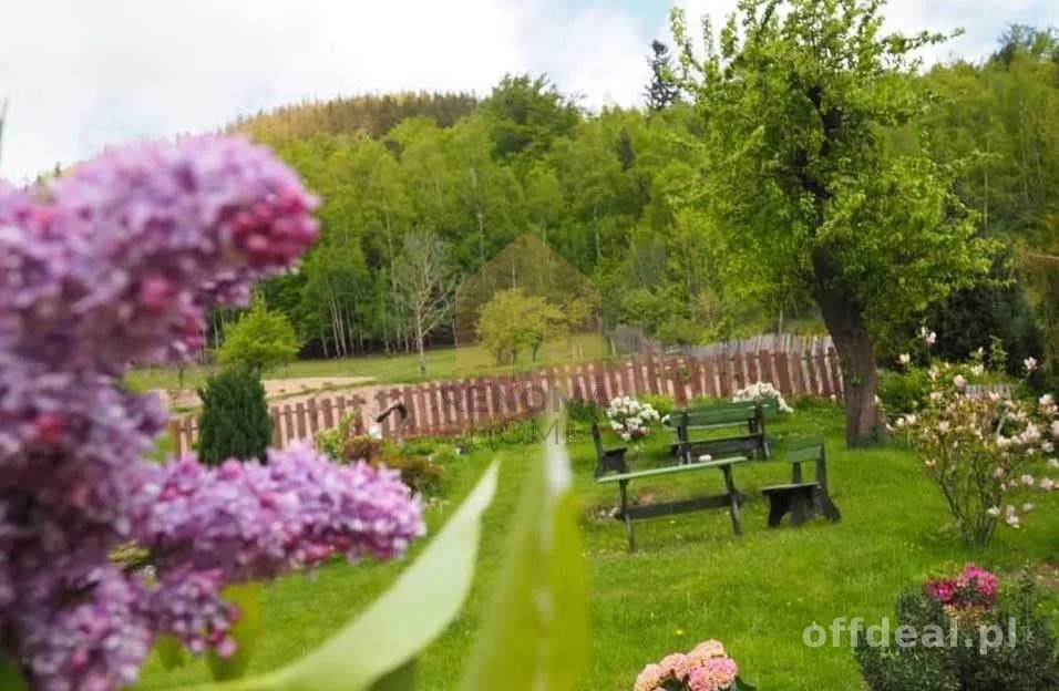 commercial property for sale in Jedlina-Zdrój, Zdrój | 800 m²