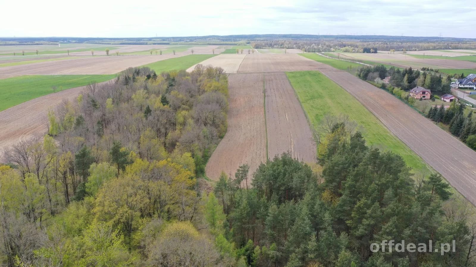 OKAZJA! GRUNT ORNY Z LASEM | 1,62 HA | DOBRA LOKALIZACJA