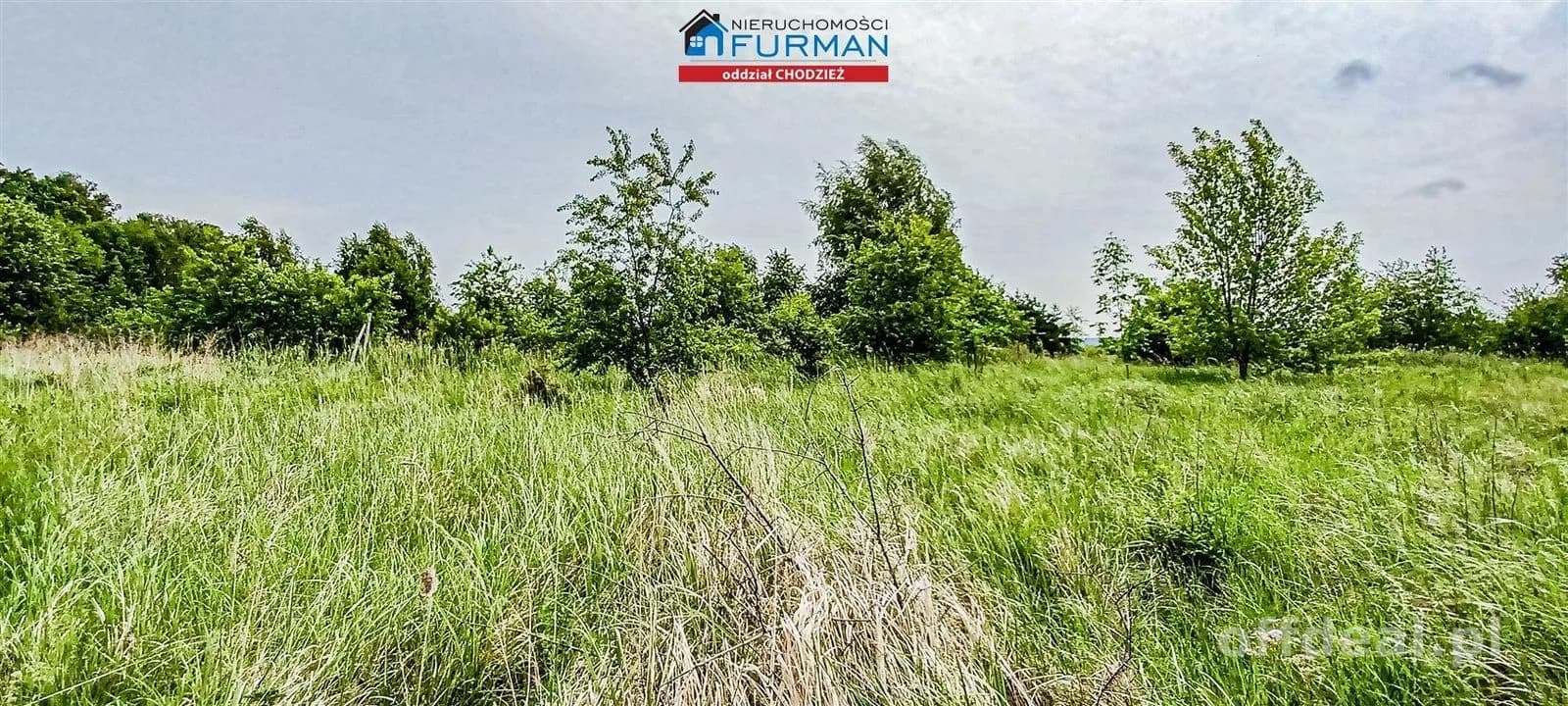 terrain à vendre à Oleśnica | 1 236 m²