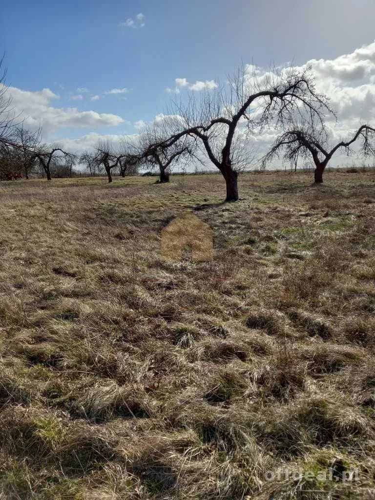 terrain à vendre à Ścinawa | 3 000,3 m²
