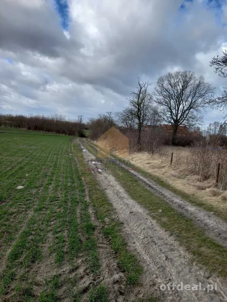 terrain à vendre à Ścinawa | 3 000,3 m²