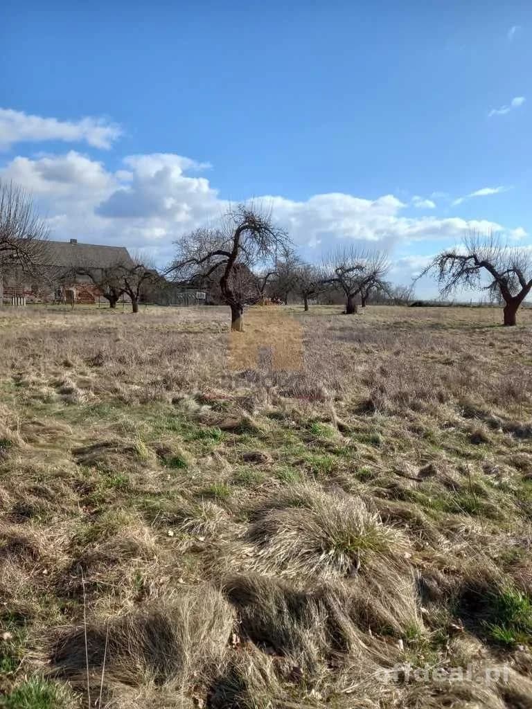 terrain à vendre à Ścinawa | 3 000,3 m²