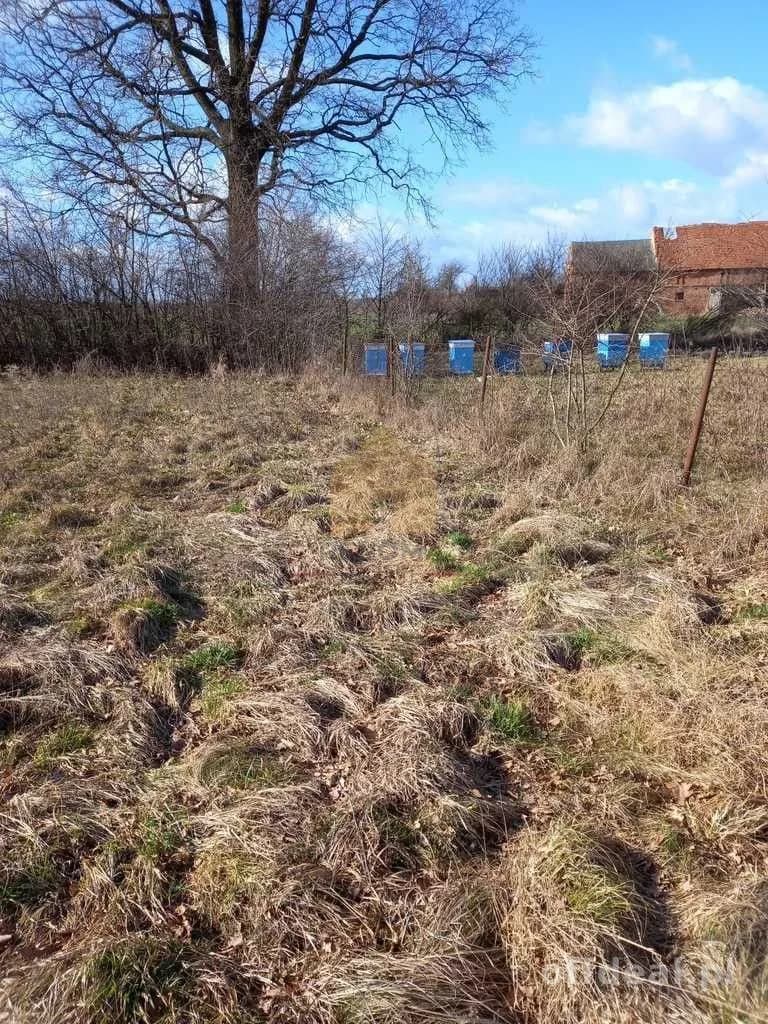 terrain à vendre à Ścinawa | 3 000,3 m²