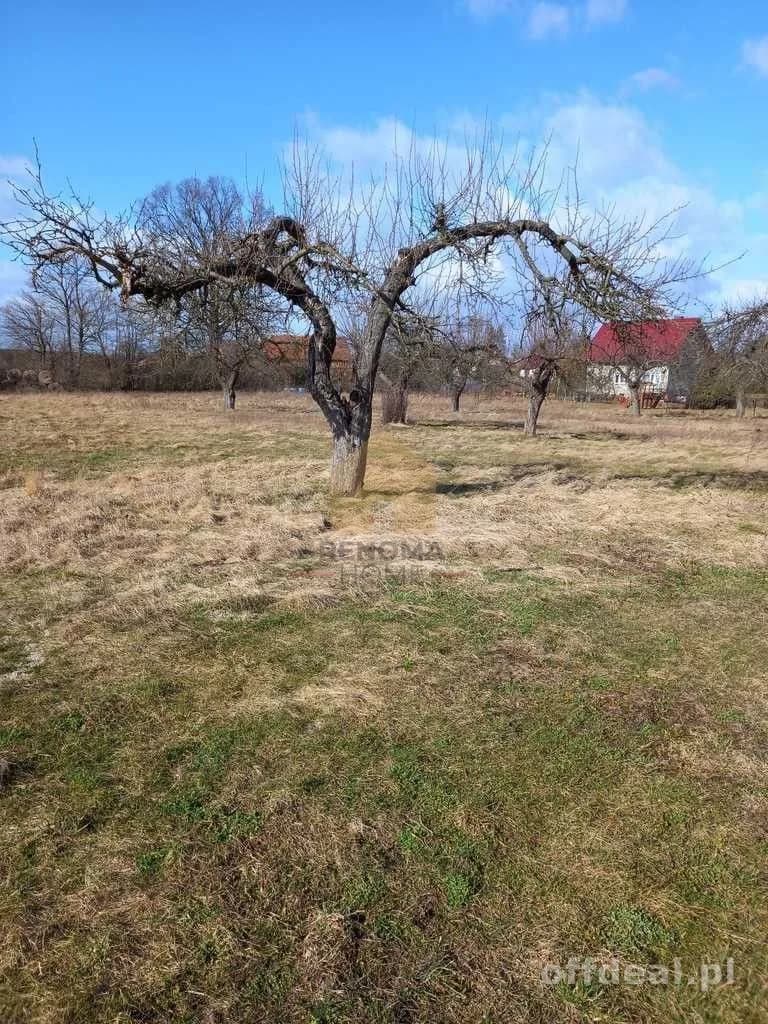 terrain à vendre à Ścinawa | 3 000,3 m²