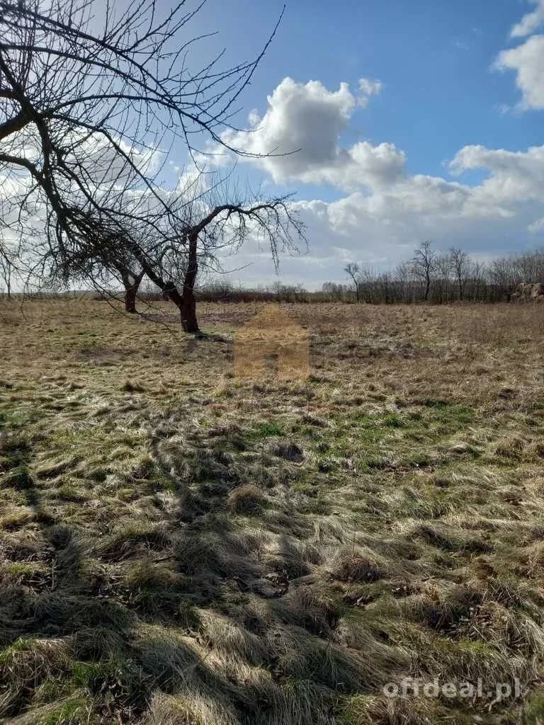 terrain à vendre à Ścinawa | 3 000,3 m²