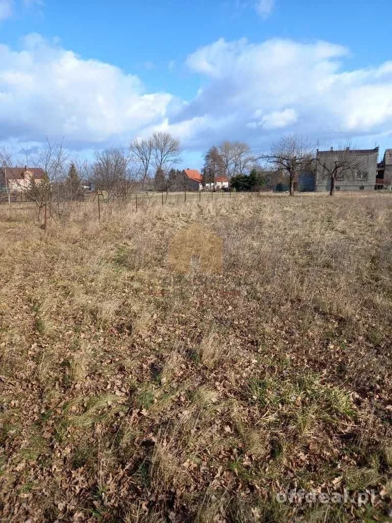 terrain à vendre à Ścinawa | 3 000,3 m²