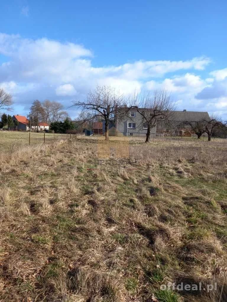 terrain à vendre à Ścinawa | 3 000,3 m²