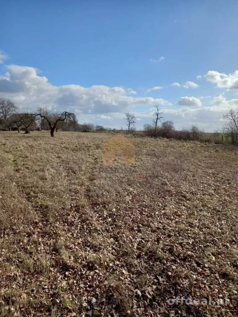 terrain à vendre à Ścinawa | 3 000,3 m²