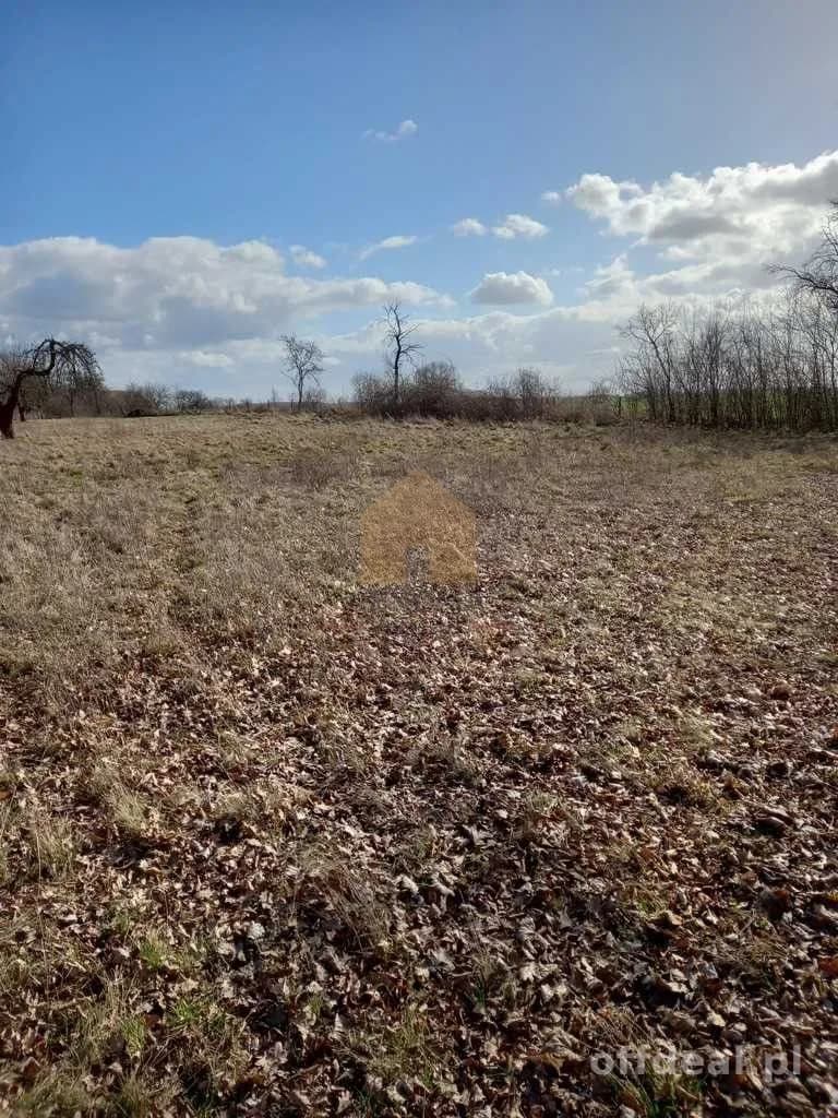terrain à vendre à Ścinawa | 3 000,3 m²