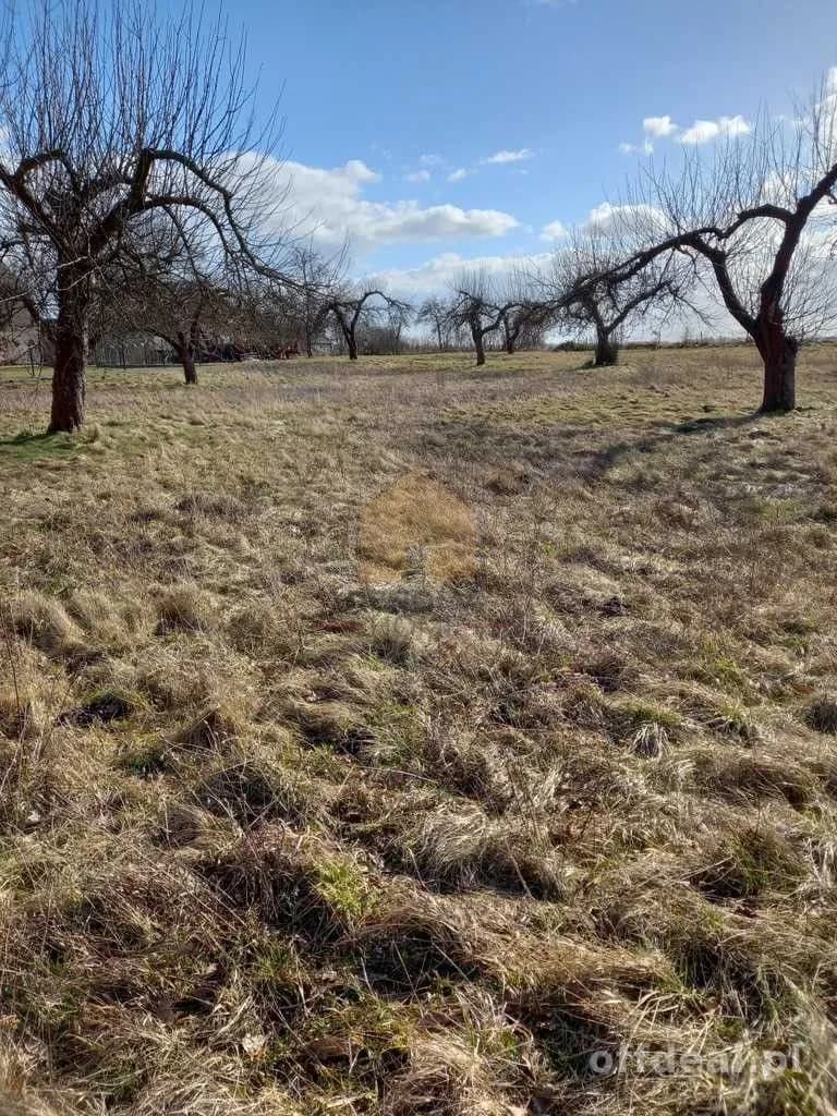 terrain à vendre à Ścinawa | 3 000,3 m²