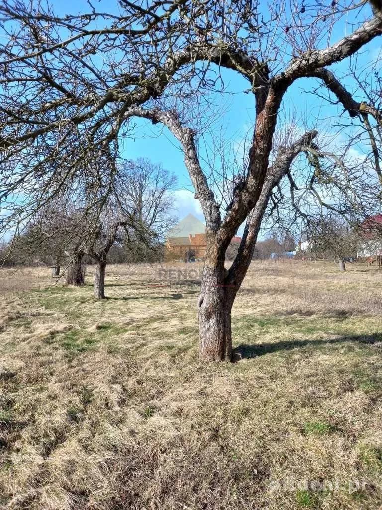 terrain à vendre à Ścinawa | 3 000,3 m²