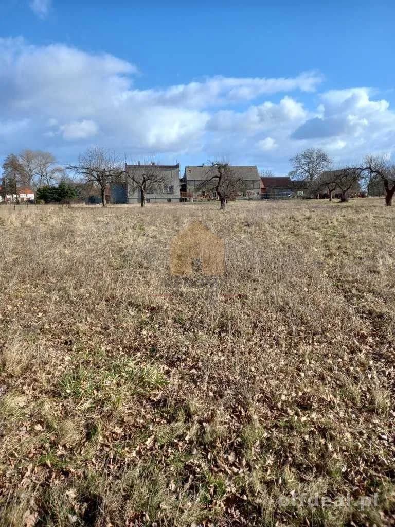 terrain à vendre à Ścinawa | 3 000,3 m²