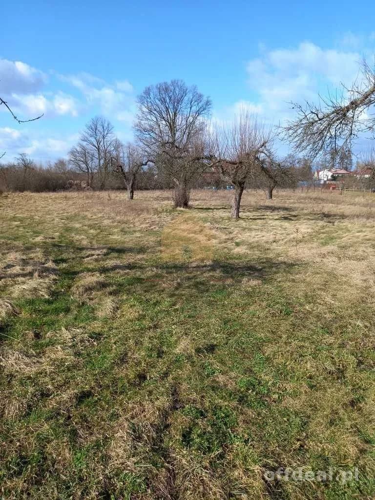 terrain à vendre à Ścinawa | 3 000,3 m²