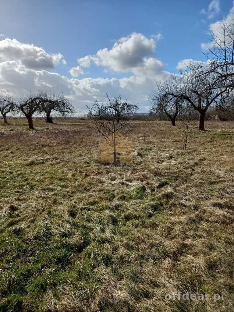 terrain à vendre à Ścinawa | 3 000,3 m²