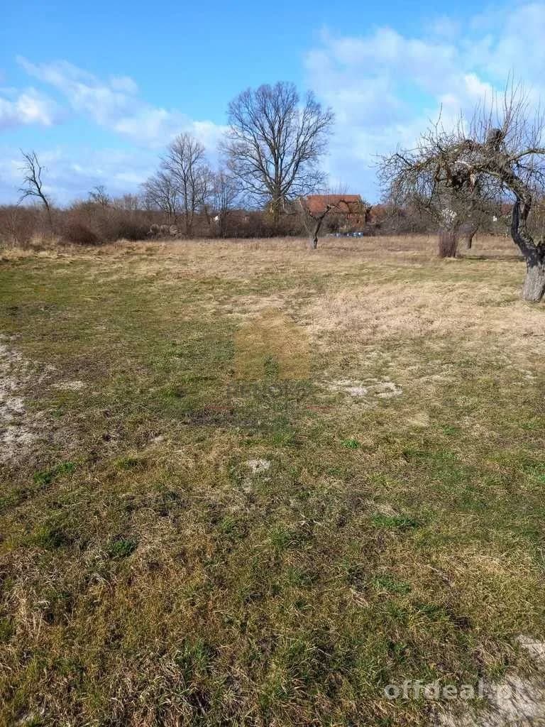 terrain à vendre à Ścinawa | 3 000,3 m²