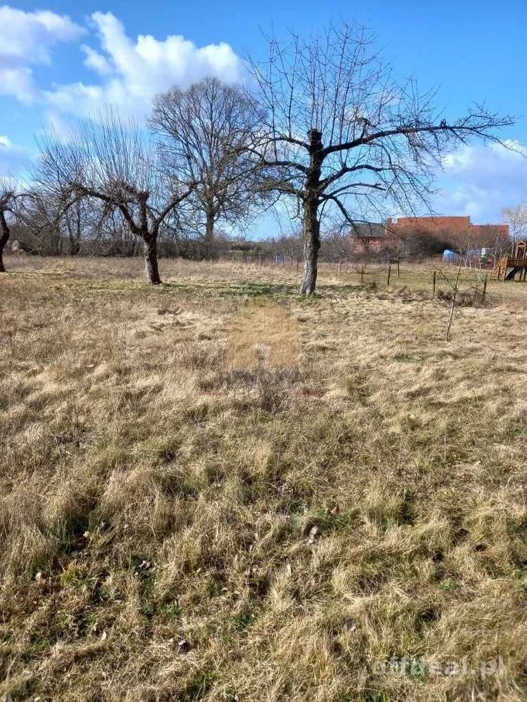terrain à vendre à Ścinawa | 3 000,3 m²