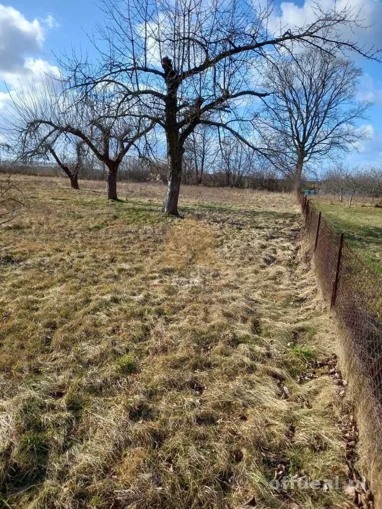terrain à vendre à Ścinawa | 3 000,3 m²