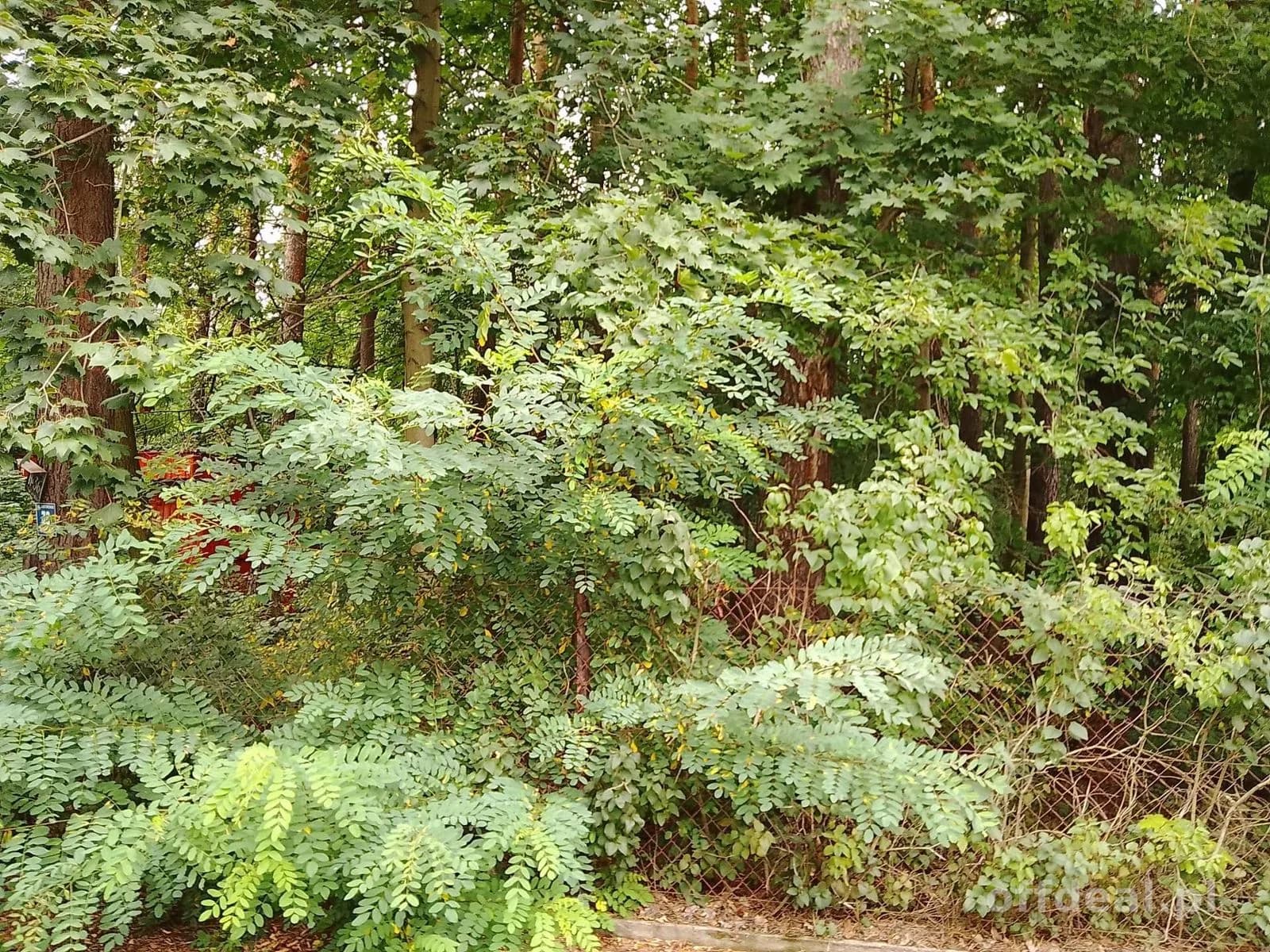 ділянка на продаж у Grotniki | 2 321 m²