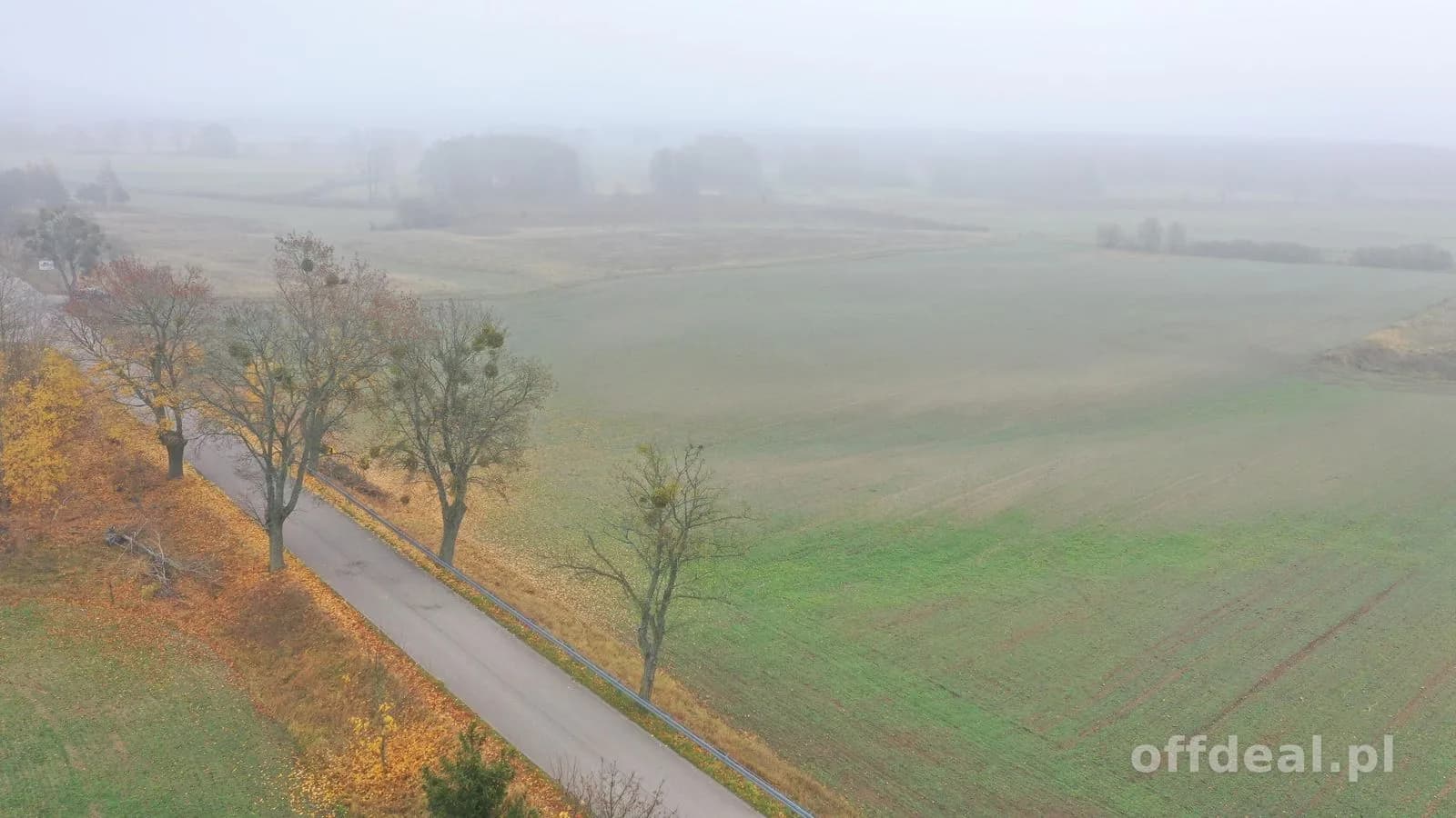 Działki rolne w świetnej lokalizacji