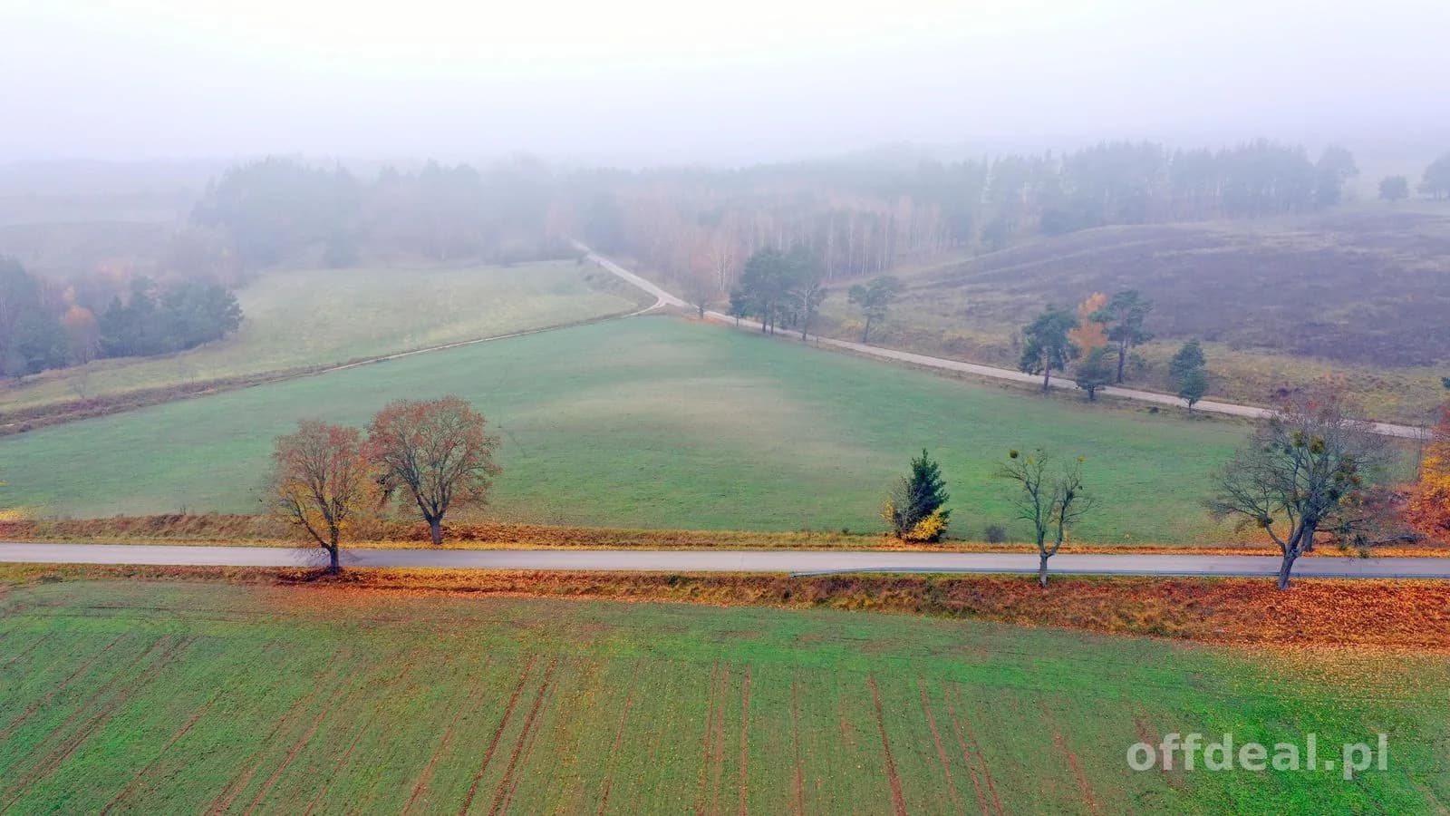 Działki rolne w świetnej lokalizacji