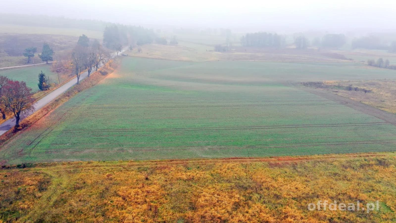 Działki rolne w świetnej lokalizacji