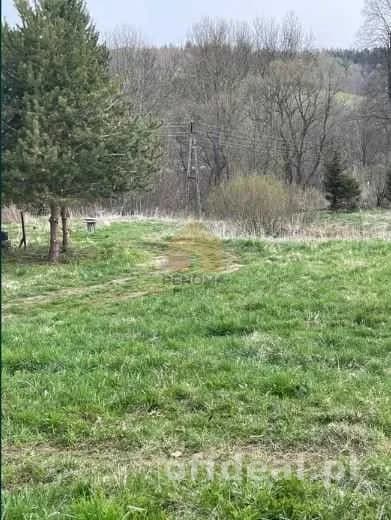 terrain à vendre à Mieroszów | 5 808 m²