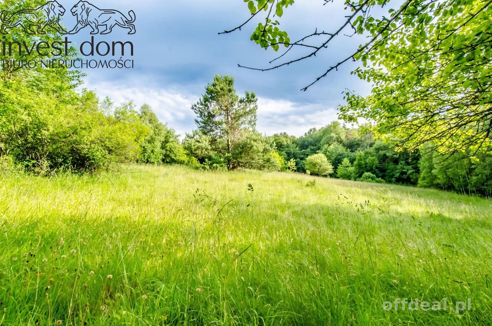 ділянка на продаж у Bartne | 3 030 m²