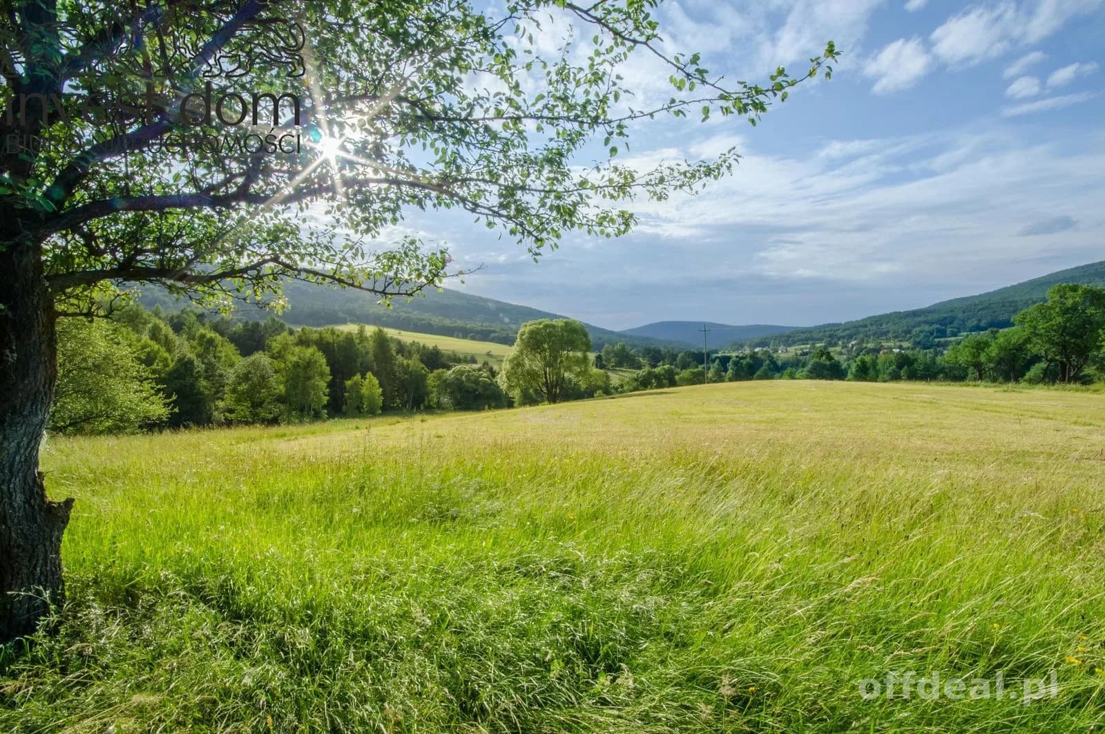 ділянка на продаж у Bartne | 3 030 m²