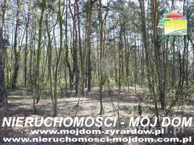 Działka na sprzedaż, Wycześniak