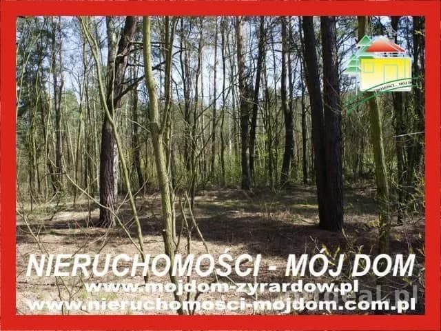 Działka na sprzedaż, Wycześniak
